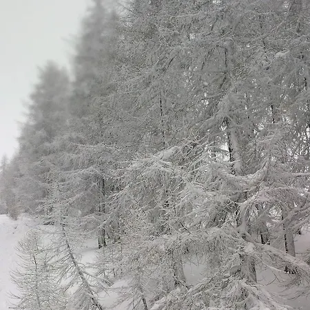 Shackleton Mountain 4*