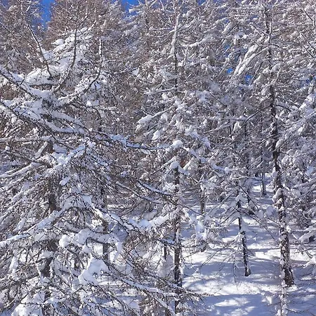 Shackleton Mountain Hotel 4*